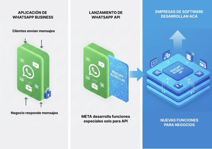 ¿Qué es WhatsApp API y cómo funciona? Avify
